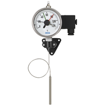 Expansion thermometer with microswitch